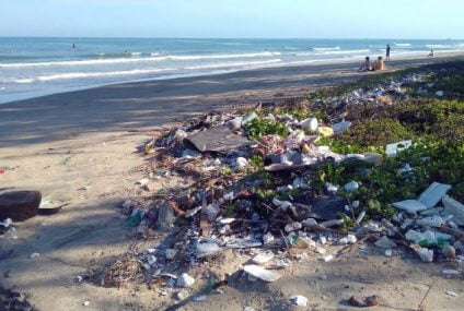 جمع البلاستيك المحيط بالمحيطات لإنتاج البلاستيك المعاد تدويره المعتمد